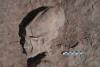 VIDEO Descoperire ULUITOARE în Mexic: 13 schelete cu cranii alungite ca de ''extraterestru'' 18438393
