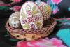 Ouă „picurate”, ouă „închistrite”, ca-n Putna lui Ştefan cel Mare 18451557