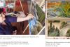 Turism, artă şi caritate. Azi, la conferinţa „Călător de meserie”, 5 pictori îşi oferă lucrările pentru o licitaţie caritabilă 18452193