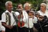 Tarafuri şi fanfare, povestea muzicii din sat  18461288
