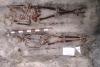 Arheologii au finalizat raportul asupra gropii comune de la Periprava. Dovezi materiale incontestabile ale cruzimii torţionarilor (GALERIE FOTO) 18463392