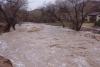 Ploile torențiale fac ravagii în județele Dolj și Olt. Râurile au ieșit din matcă, sute de gospodării au fost inundate 18476033