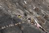 Germanwings. Investigatorii francezi au anunțat că au găsit până în prezent aproape 600 de bucăți de trupuri 18503055