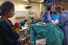 Observator Antena 1 lansează campania "Transplant pentru viață – Campania oamenilor invizibili" 18504237