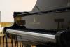 Prin campania „Un pian pentru Lipatti”, Elevii de la Colegiul Național de Arte „Dinu Lipatti” studiază pe un pian performant Steinway 18523714