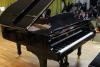 Prin campania „Un pian pentru Lipatti”, Elevii de la Colegiul Național de Arte „Dinu Lipatti” studiază pe un pian performant Steinway 18523717