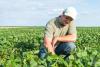 Statul român vrea să stimuleze tinerii să devină agricultori 18538520
