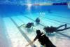 Cursuri de scufundări: din bazin, în Marea Neagră 18543746