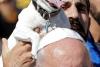 Papa Francisc, fotografiat lângă un căţel zâmbitor. Imaginea a devenit virală 18552000