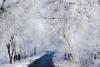 GALERIE FOTO: Iarna a pus stăpânire pe Europa 18563945