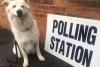 Marea Britanie: Fotografiile cu câini la secţiile de votare pentru alegerile legislative anticipate, virale pe reţelele de socializare 18579072
