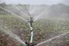 Ministrul Agriculturii îşi propune, până în 2020, realizarea sistemelor de irigaţii pentru două milioane de hectare 18579189