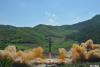 Coreea de Nord afirmă că a testat cu succes o rachetă balistică intercontinentală 18581312