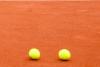 Filip Jianu, în semifinalele probei de dublu a juniorilor la Australian Open 18602349