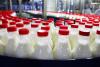 Industria laptelui, controlată de multinaţionale şi sufocată de importuri. Cum a pierdut România cinci milioane de vaci 18622414