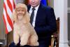 Cele mai amuzante meme-uri după summitul dintre Trump şi Putin 18783145