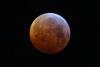 GALERIE FOTO Cele mai frumoase imagini ale eclipsei de Lună 18645852