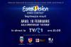 Eurovision România: semifinala de la Arad, ultimul pas înainte de Marea Finală 18647880