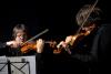 Stradivarius sau Guarneri? Duelul viorilor – colecţia de primăvară 2019 18651737
