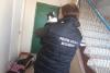 Poliția Animalelor: 41 de pisici erau ținute de ani de zile la limita supraviețuirii, în beznă, în bucătăria unui apartament aflat în sectorul 6 18656321