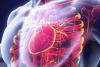 Fibrilaţiile în ventricule pot duce la stop cardiac 18672310