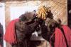 „URS GEEST”: reinventarea dansului ritualic al ursului în culturile română şi belgiană în EUROPALIA România 18673374