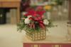 Recomandarea săptămânii: Cum îngrijim Crăciunițele – cele mai frumoase flori ale iernii 18689602