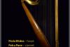 ”O harpă de poveste” și ”Anotimpurile”de Vivaldi deschid Zilele Muzicale Româno-Americane 18714437