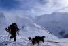Salvatorii din avalanșe. Câinii, de 30 de ori mai eficienți decât oamenii 18735287