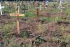 Cimitirul condamnaților la sărăcie pe viață și pe moarte 18801043