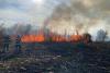 Incendiu de stuf şi vegetaţie uscată în zona localității Jurilovca. Intervenția pompierilor este una dificilă din cauza zonei greu accesibile 18803234