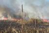Incendiu de stuf şi vegetaţie uscată în zona localității Jurilovca. Intervenția pompierilor este una dificilă din cauza zonei greu accesibile 18803236