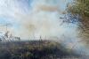 Incendiu de stuf şi vegetaţie uscată în zona localității Jurilovca. Intervenția pompierilor este una dificilă din cauza zonei greu accesibile 18803237