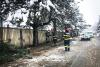 Ghinion! Un copac a căzut peste trei mașini parcate în Suceava 18810797