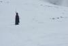 Turist străin costumat în Dracula, prin zăpadă, spre Vârful Omu. Palinca nu l-a ajutat să găsească drumul 18812265