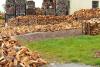 Record al Guvernului: plafonarea prețului pentru lemnele de foc a dublat costurile 18812177