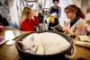 Cafeneaua cu pisici, locul unde îți iei doza de cafea și de…feline. Iată imaginile 18813661