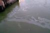 Alertă: Poluare cu petrol pe Dunăre pe o lungime de 6 km! 18813862