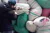 România, groapa de gunoi a Europei. 15,5 tone de deșeuri textile din fibre sintetice din Indonezia, descoperite în Portul Constanța 18819776