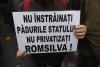 Protest de amploare în Capitală: "Nu distrugeți pădurile României!" 18819871