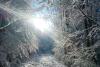Peisaje uluitoare de iarnă din Parcul Național Semenic Cheile Carașului 18822673
