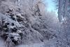 Peisaje uluitoare de iarnă din Parcul Național Semenic Cheile Carașului 18822676