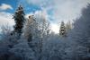 Peisaje uluitoare de iarnă din Parcul Național Semenic Cheile Carașului 18822677