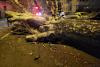 Un copac uriaș a căzut pe una dintre cele mai circulate străzi din Constanța 18822794
