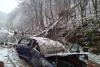 Accident teribil pe o șosea din Caraș-Severin. Un copac a căzut peste o mașină aflată în trafic. Un băiat de 14 ani a murit 18823956