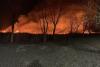 VIDEO Incendiu de vegetație în Delta Dunării 18826694