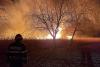 VIDEO Incendiu de vegetație în Delta Dunării 18826695