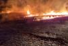 Incendiile de vegetație fac ravagii în Tulcea: Peste 110 hectare au ars într-o singură zi 18827324