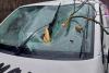 Un copac a căzut peste o mașină aflată în mers, în Sighișoara 18827428