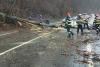 Un copac a căzut peste o mașină aflată în mers, în Sighișoara 18827430